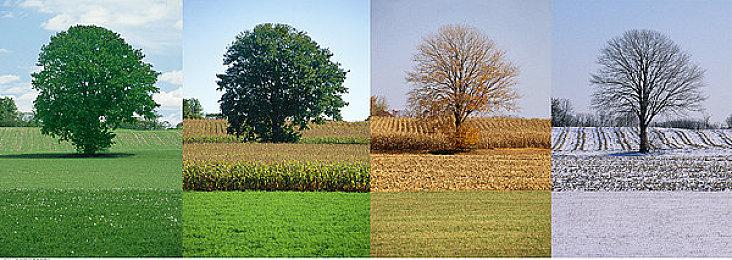 校园RPG《罪恶王权》开场动画公开 中文版同步发行