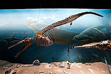 KK官方对战平台许愿宝箱重启传奇，海量装饰道具免费赢!